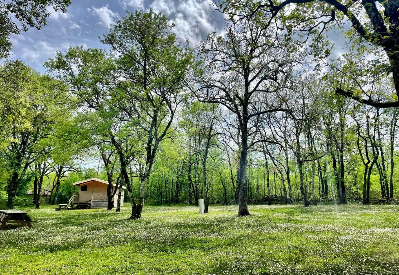 Lodges Du Bois Dodo - Ancien Camping De Bois Redon Septfonds Kültér fotó